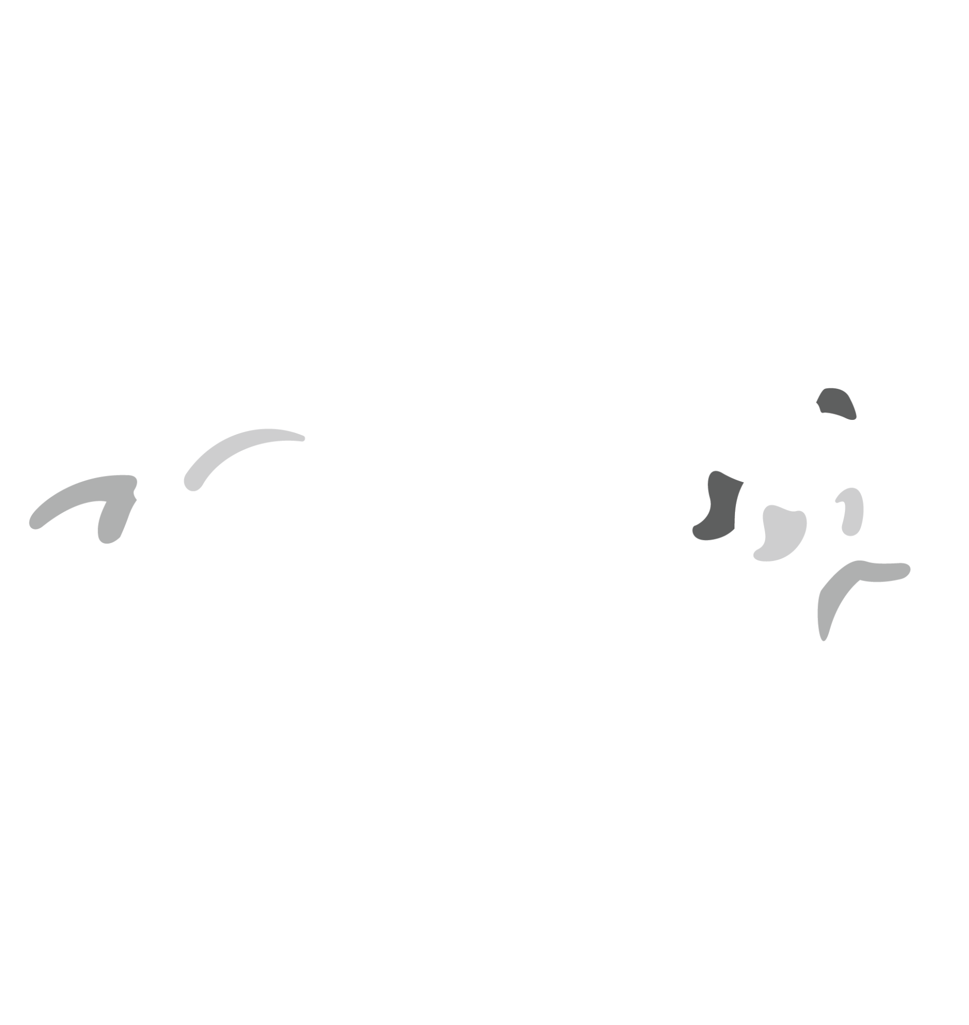 Happy Paws A fun place for dogs to learn