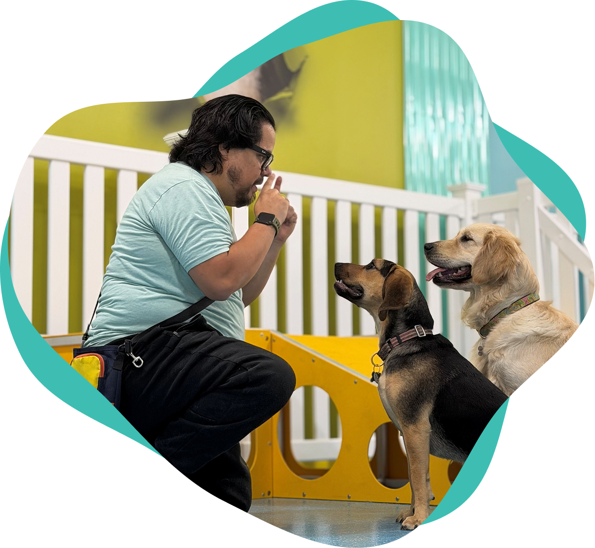 Happy Paws LLC