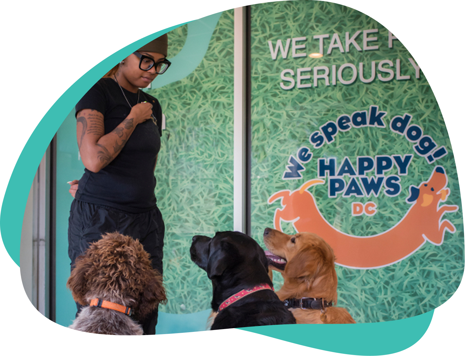Happy Paws LLC